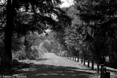 Path - Veronia, Oregon