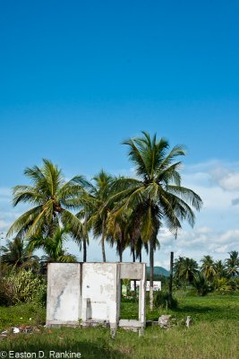 Ruin with Coconut Palms - Annotto Bay
