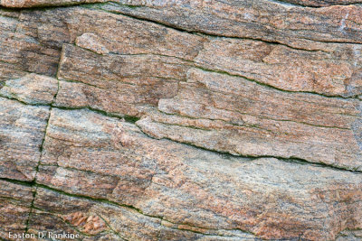 _DSC2361.jpg