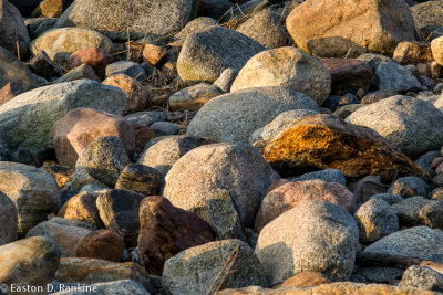 _DSC2367.jpg