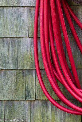 Hose