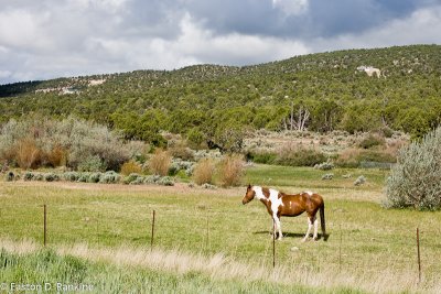 From Highway 15 & A Peek at Kolob Canyon