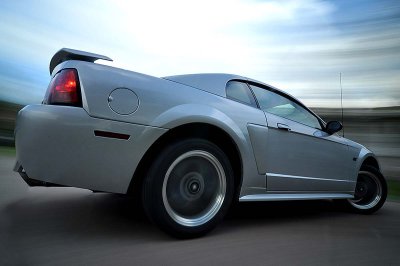 Mustang in Motion