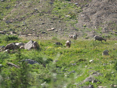 P9044057.JPG