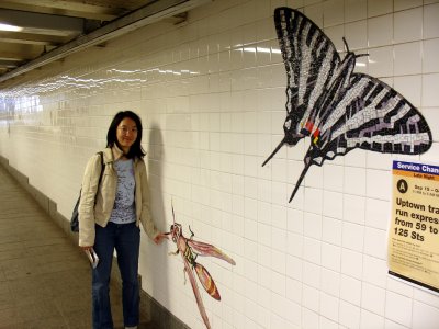 Subway Station (American Museum of Natural History)