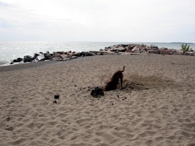 Digging a big hole