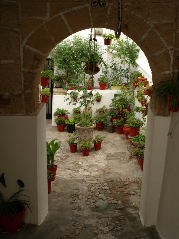 patio.jpg