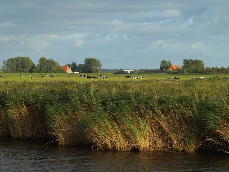 P9058314.JPG