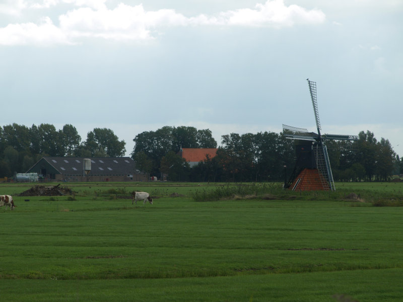 P9068335.JPG