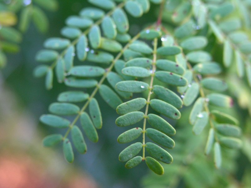 P8128729.jpg