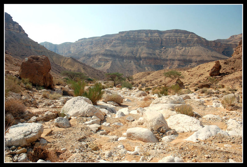 Negev. Not just a Desert