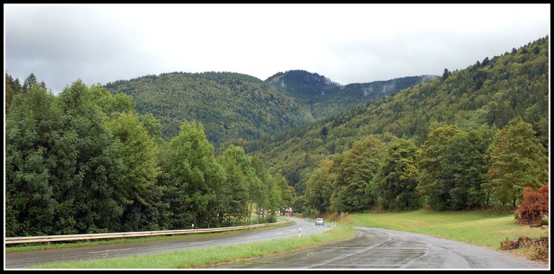 Black Forest