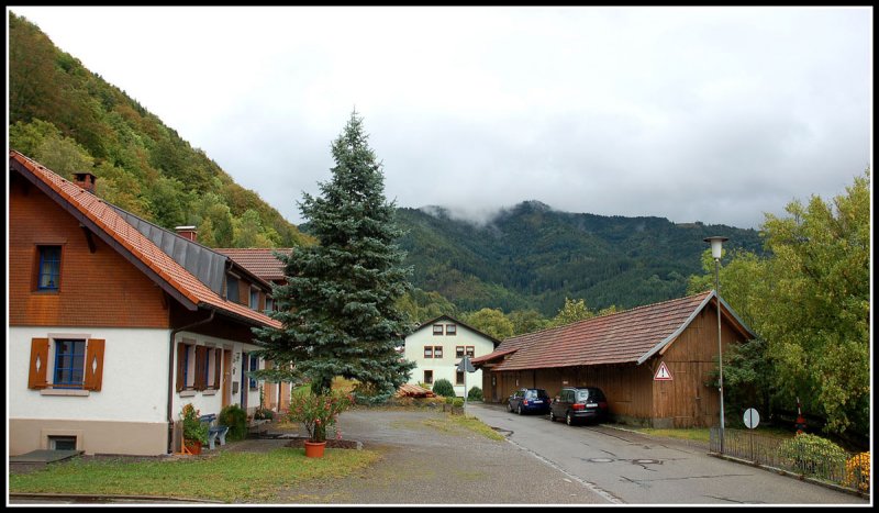 Black Forest