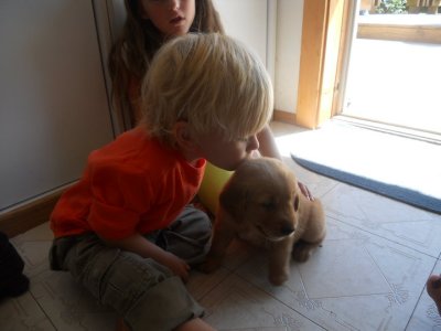 Beck and Billy's new puppy-Zach.