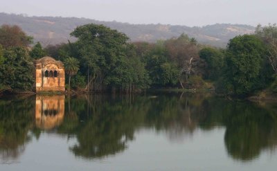 Lake In Ranthambhore Park