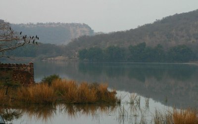 Ranthambhore Lake