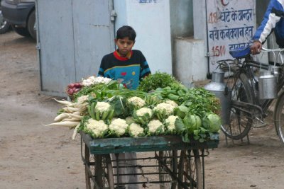 Produce Cart