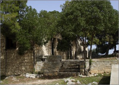 Temple d'Aphaea, muse #12