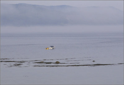 Entre du Fjord #01