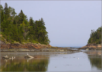 Baie des Rochers #03