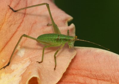 IMG_8548  .jpg
