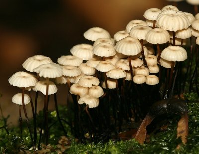 IMG_8161  .jpg
