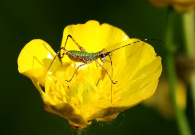 IMG_1631  .jpg