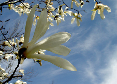 DSC08872  .jpg