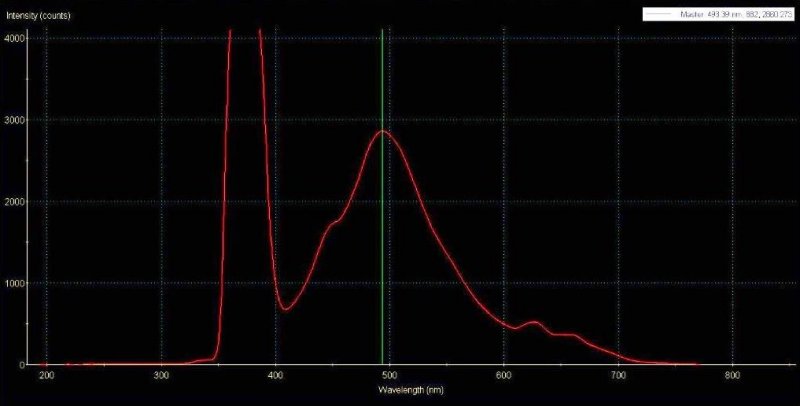 white egg fluorescence k.jpg