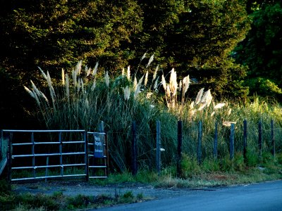 cotati_highlands