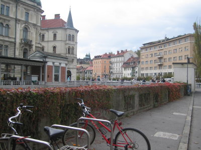 Ljubljanica River