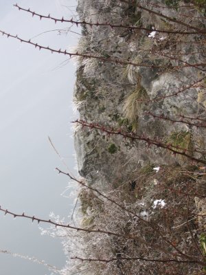  It was much easier to see the vegetation on the cliffs.