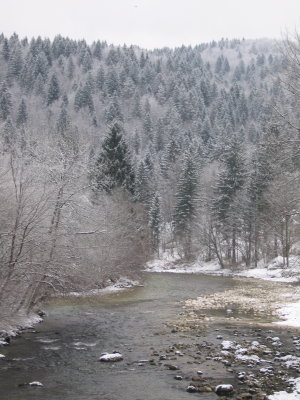  The outflow of the lake -- a wintery creek with ducks and grebes.