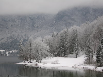 The near shores were more clearly visible, and the ice on the trees lovely.