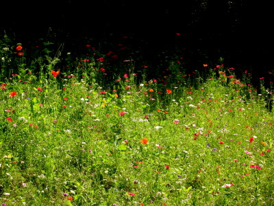 Jardins de la Fontaine, Nimes