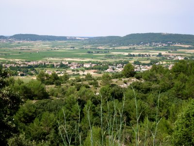 In the Garrigue, looking towards la Grande Motte