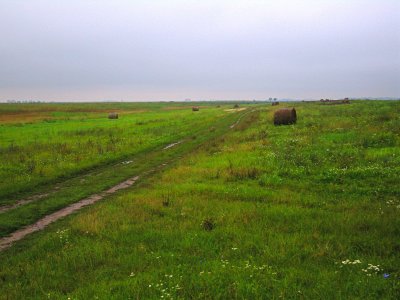 Walking on the wet puszta to a blind near our farm stay.