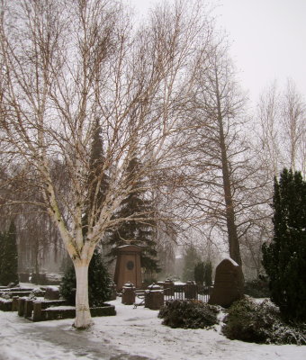 Nordre Kirkegard: The cemetery between the university and the sea
