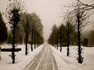 Walking through the cemetery: the snow is slowly turning to slush