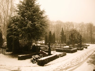 The cemetery is en route from my flat to the fishmonger