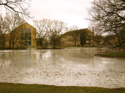rhus University duck ponds, after three days of pelting rain