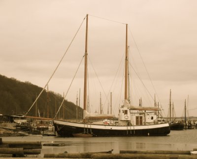 A nearly-tall ship near where the forest meets the town