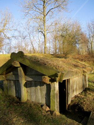 A viking pit house