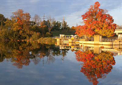 Dixboro Fall