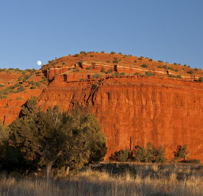 Jemez Red Cliffs