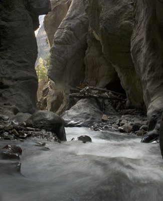 Ouray Water