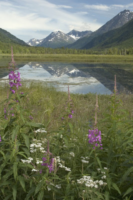 Tern Lake, AK