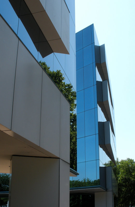 Building Along the Park Walkway