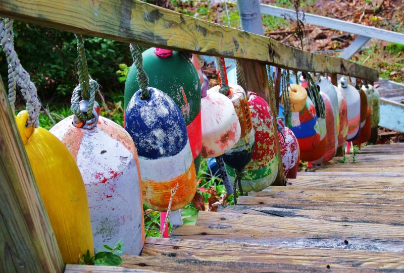 Bouies Along the Steps