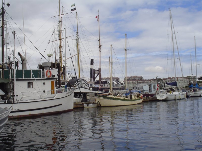 Fishing Docks on the Fringe of Victoria Harbor